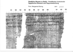 Papyrus Berolinensis P 25 239