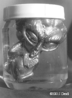 Mensch-Alien-Hybrid-Embryo